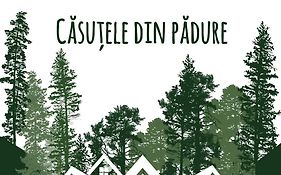 Căsuțele din pădure